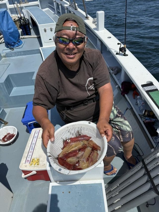 マルイカ(ケンサキイカ)