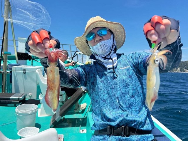 マルイカ(ケンサキイカ)