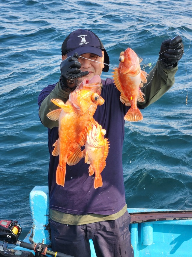 ウッカリカサゴ