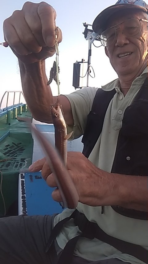 アナゴ(マアナゴ)