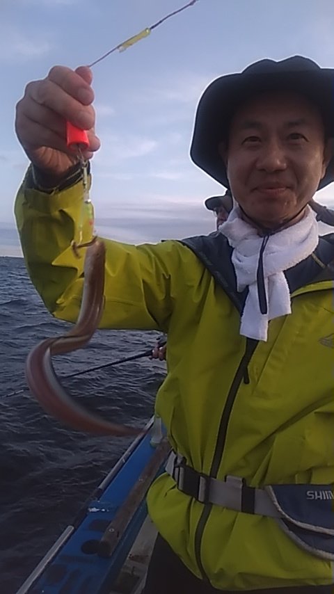 アナゴ(マアナゴ)