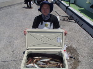 マアジ・イサキ