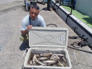 マアジ・イサキ