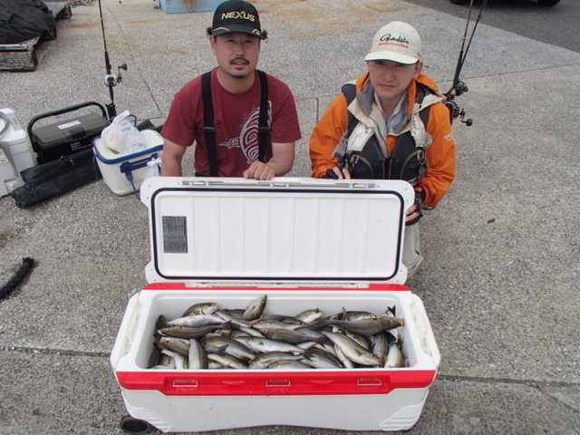 マアジ・イサキ