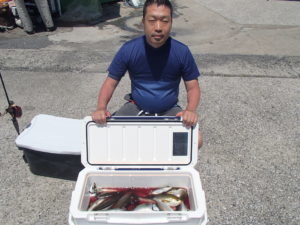 マアジ・イサキ