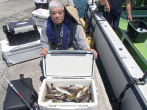 マアジ・イサキ