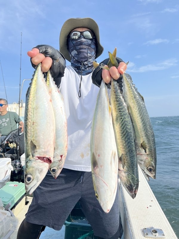 サバ(ゴマサバ)