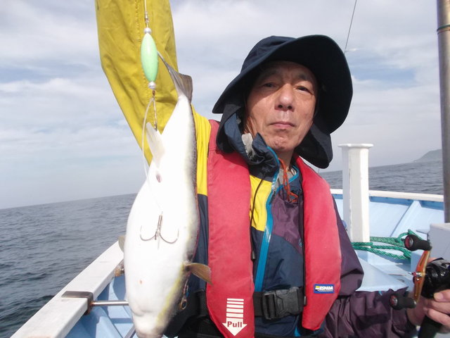 ショウサイフグ