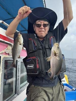 イサギ(イサキ)