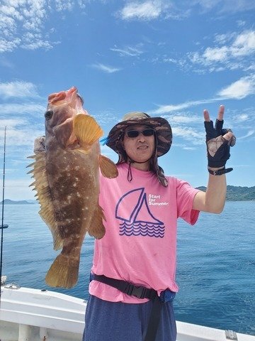 アコウ(キジハタ)