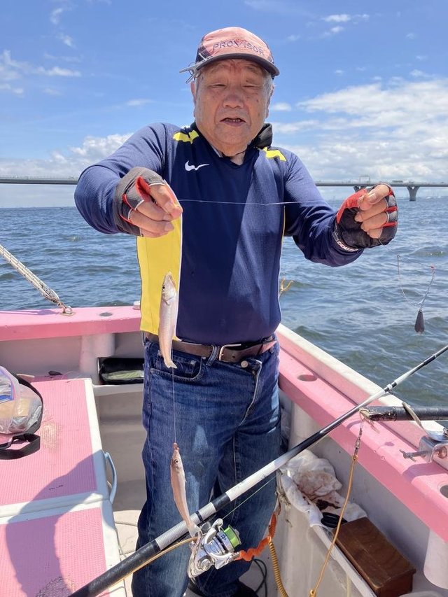 キス(シロギス)