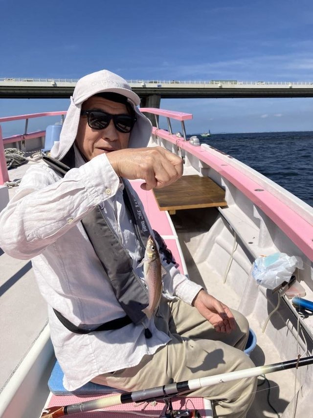 キス(シロギス)