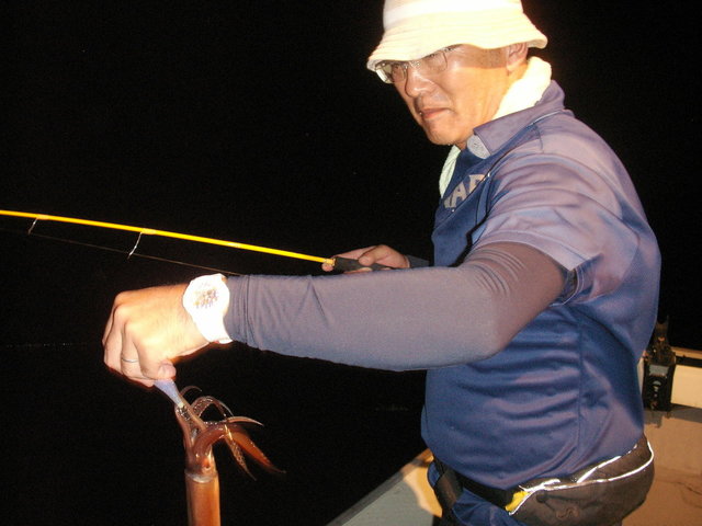 スルメ(スルメイカ)