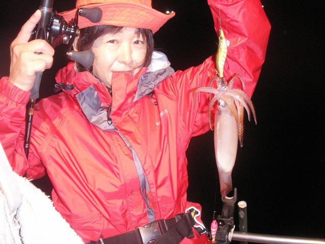 スルメ(スルメイカ)