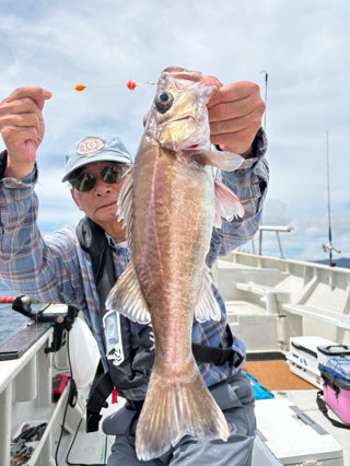 シロムツ(オオメハタ)