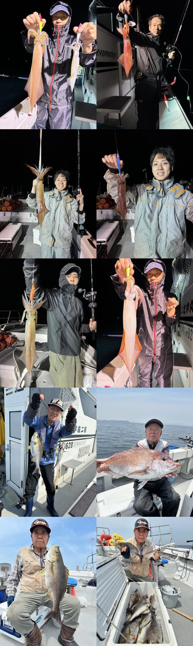 マダイ・イサキ・イカ(ヤリイカ)