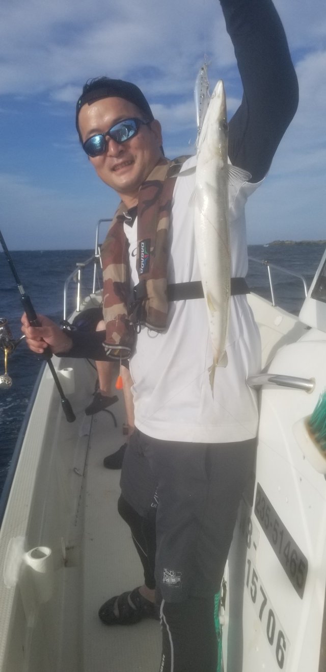 カマス(アカカマス)