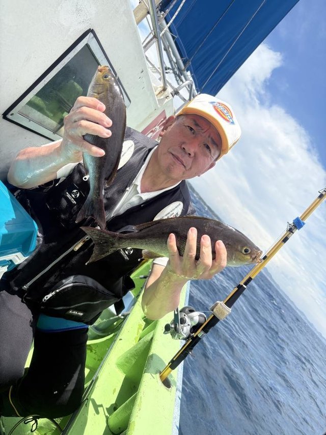 イサギ(イサキ)