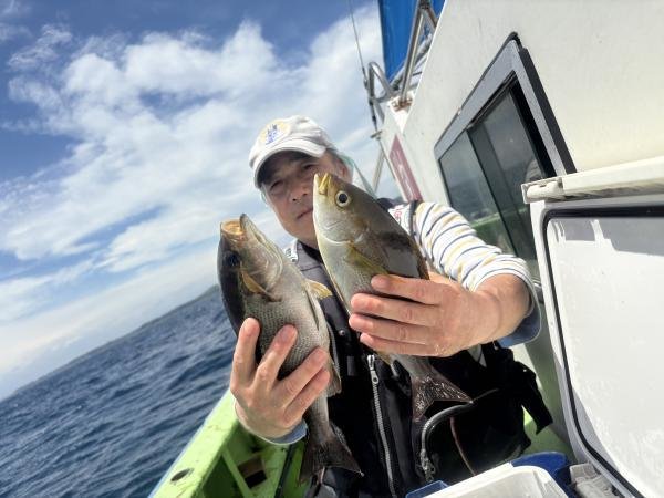 イサギ(イサキ)