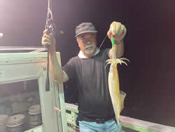 アカイカ(ケンサキイカ)