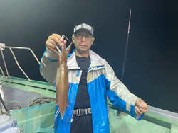 アカイカ(ケンサキイカ)