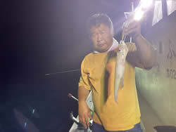 アカイカ(ケンサキイカ)