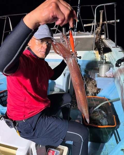 イカ(ケンサキイカ)