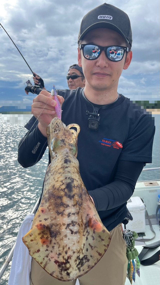 イカ(アオリイカ)