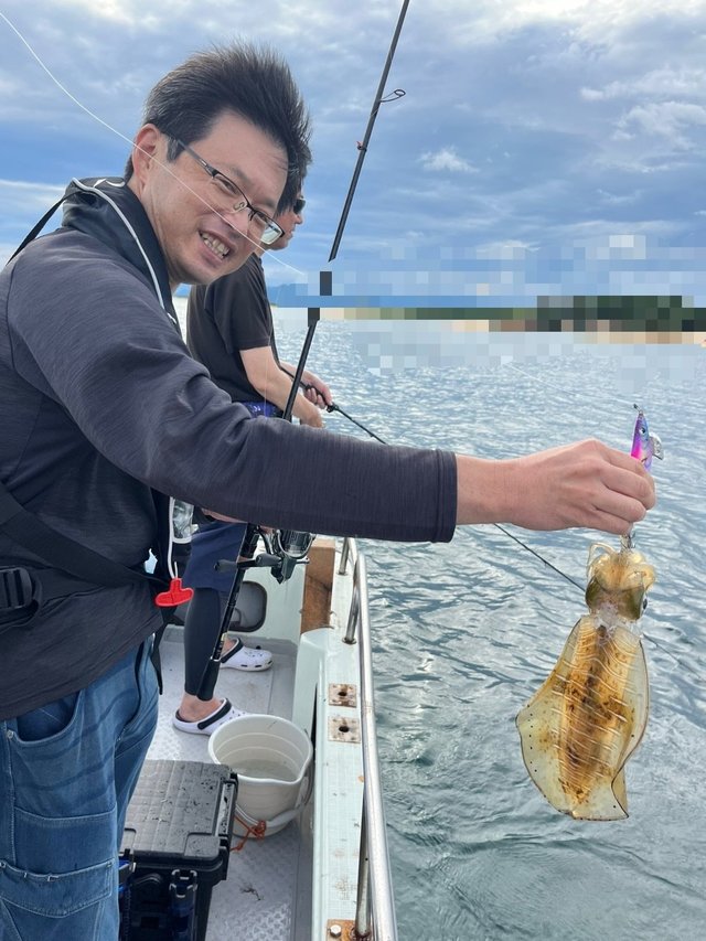 イカ(アオリイカ)