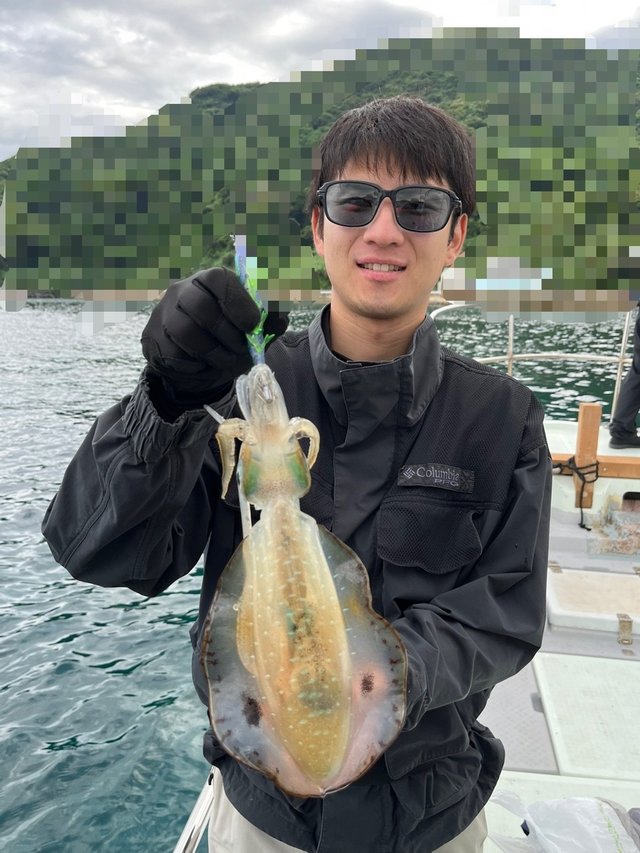 イカ(アオリイカ)