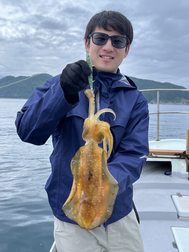 イカ(アオリイカ)