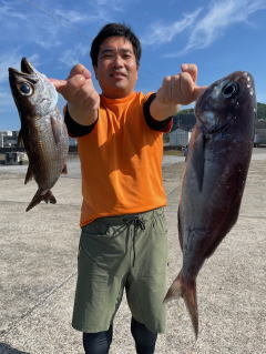 クロムツ・メダイ