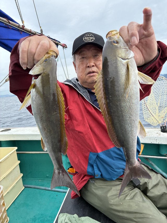 イサギ(イサキ)