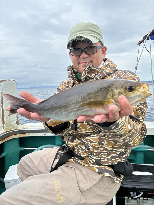 イサギ(イサキ)