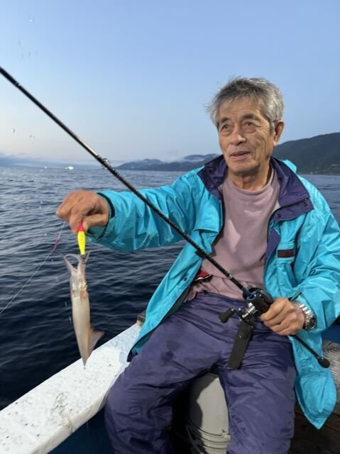 マイカ(ケンサキイカ)