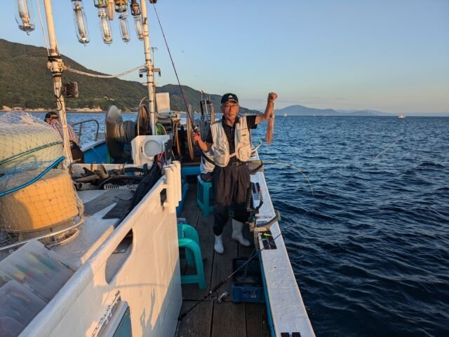 マイカ(ケンサキイカ)