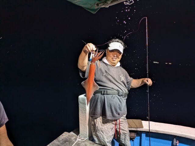 マイカ(ケンサキイカ)