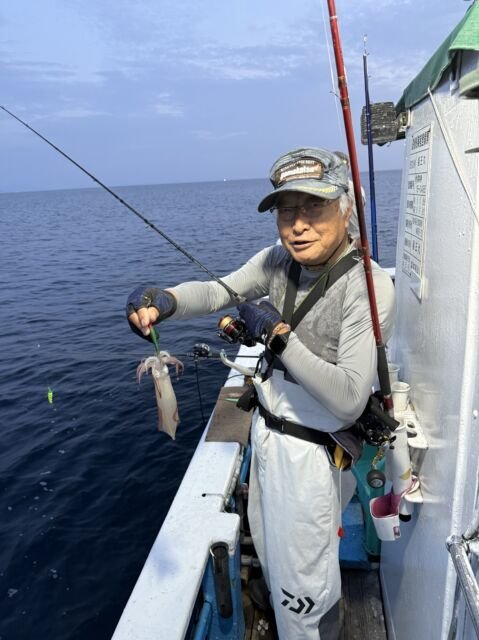 マイカ(ケンサキイカ)