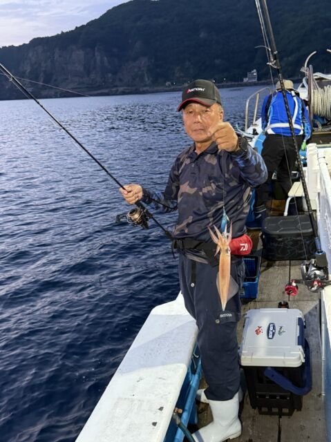 マイカ(ケンサキイカ)