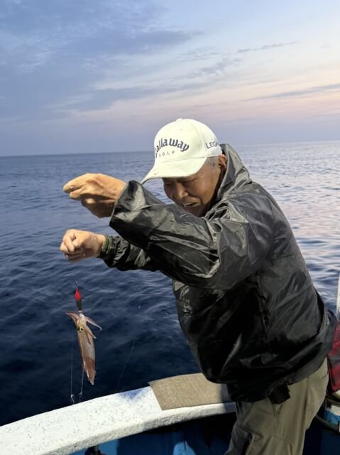 マイカ(ケンサキイカ)