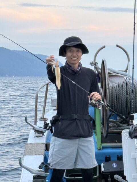 マイカ(ケンサキイカ)