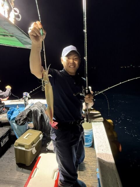 マイカ(ケンサキイカ)