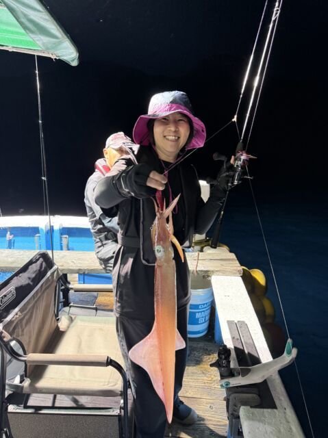 マイカ(ケンサキイカ)