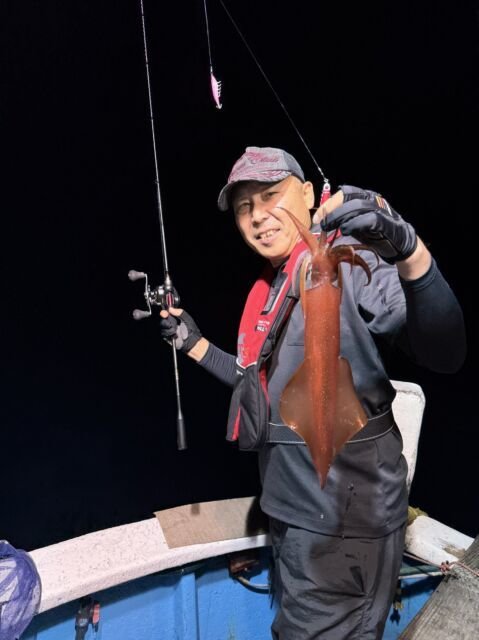 マイカ(ケンサキイカ)