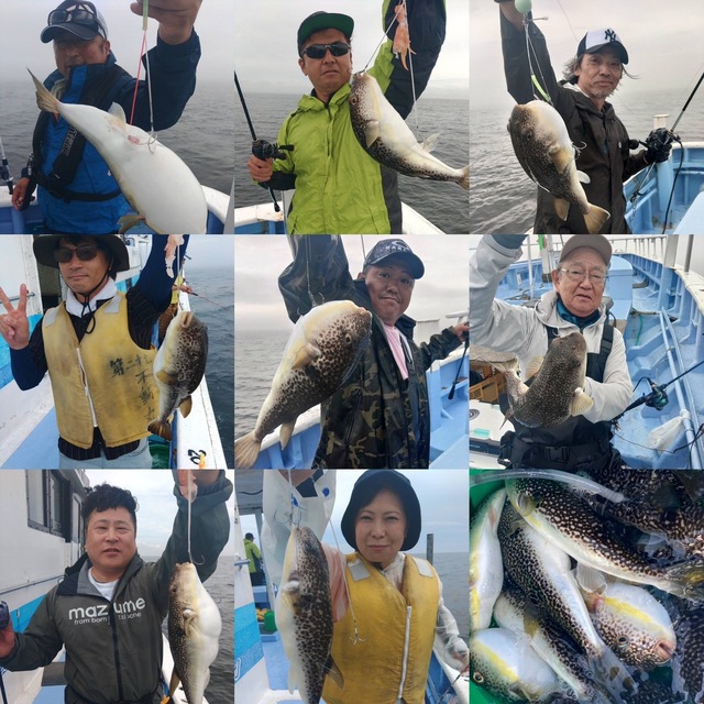 ショウサイフグ