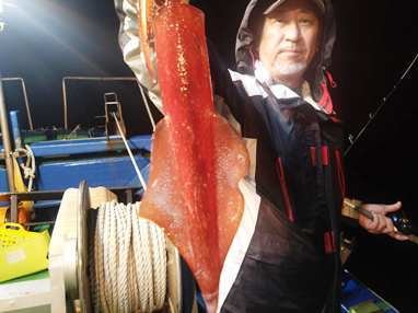 マイカ(ケンサキイカ)