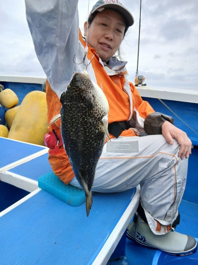 フグ(ショウサイフグ)