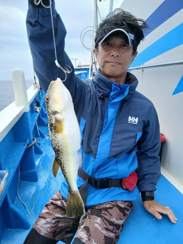 フグ(ショウサイフグ)