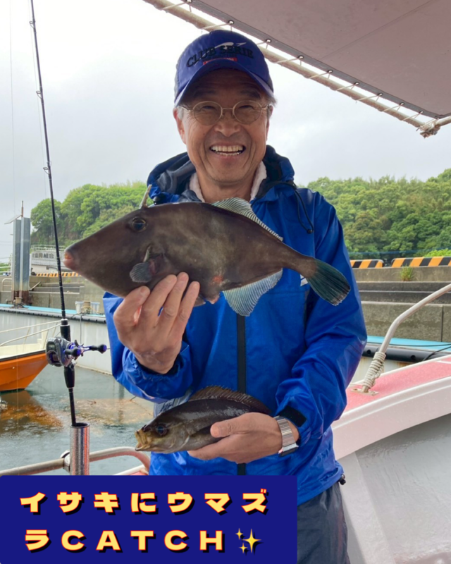 イサキ・ウマズラ(ウマヅラハギ)