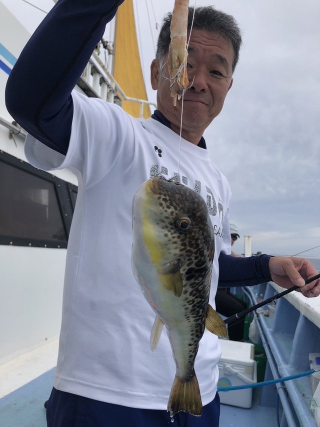 ショウサイフグ